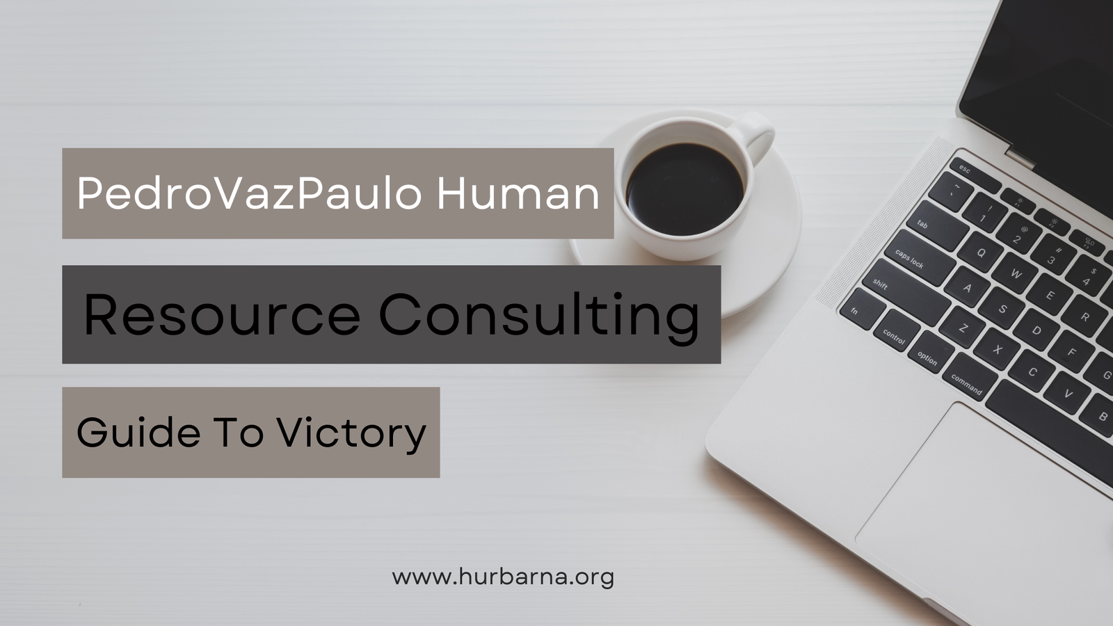 PedroVazPaulo Human Resource Consulting