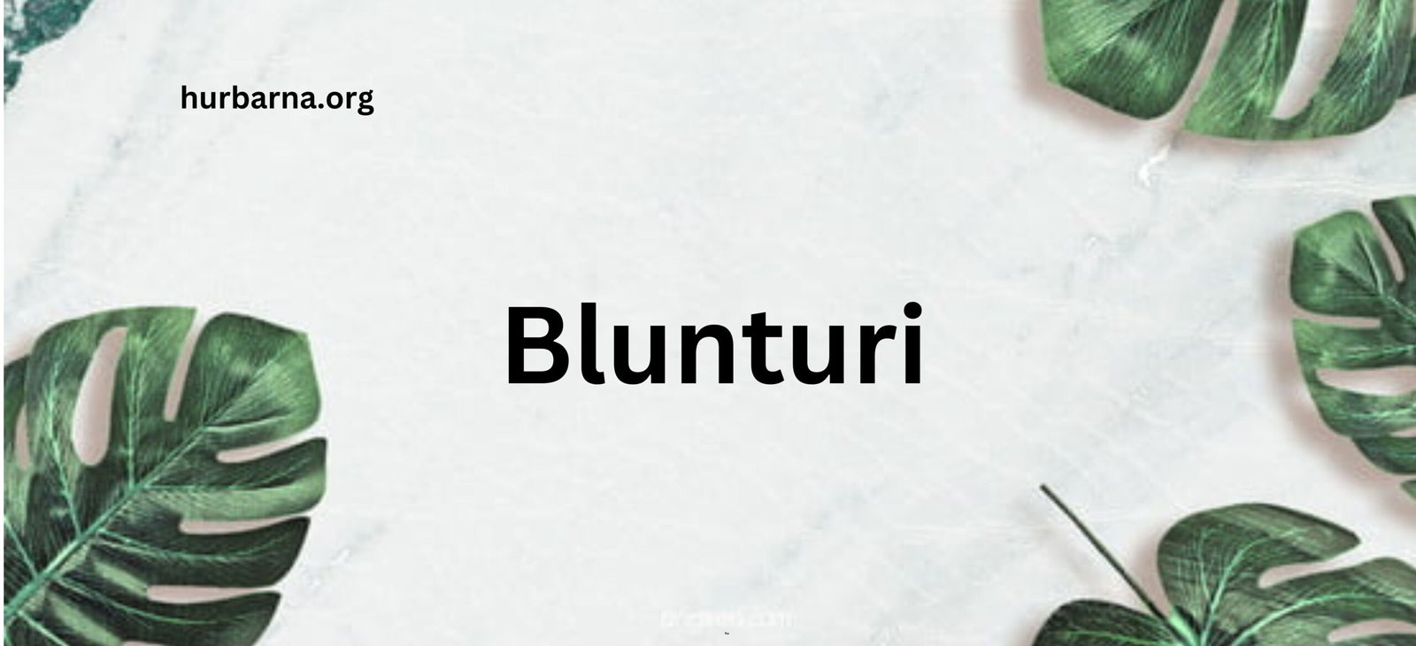 Success Blunturi: A Journey Through History, Culture