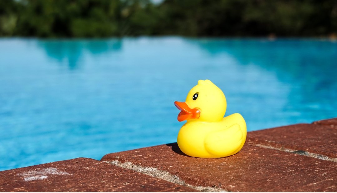 Bulk Rubber Ducks Logistics: Streamlining Bulk Orders and Delivery